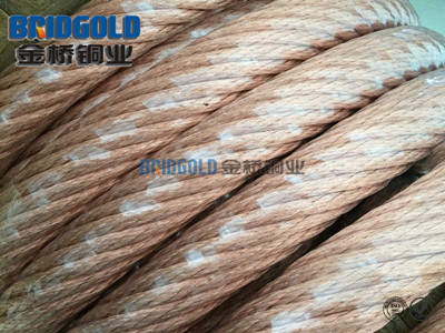 定制大平方銅絞線 定制大平方銅絞線