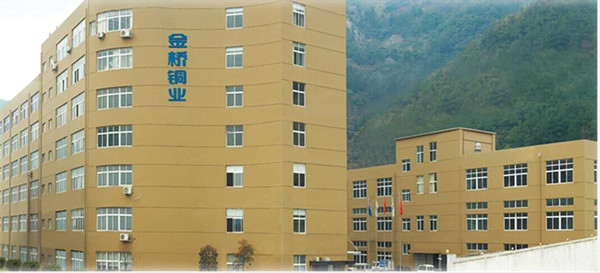 銅軟連接生產(chǎn)廠家 銅軟連接生產(chǎn)廠家