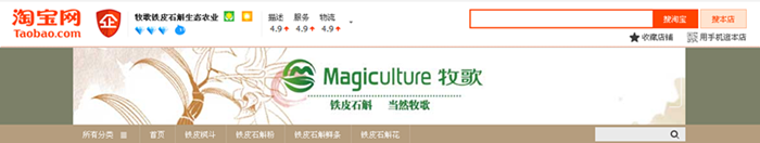 牧歌鐵皮石斛 牧歌鐵皮石斛