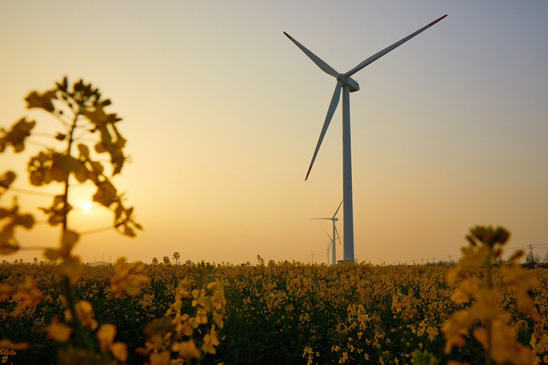 風(fēng)力發(fā)電機(jī) 風(fēng)力發(fā)電機(jī)