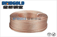 接地銅絞線(xiàn)25mm2 接地銅絞線(xiàn)25mm2