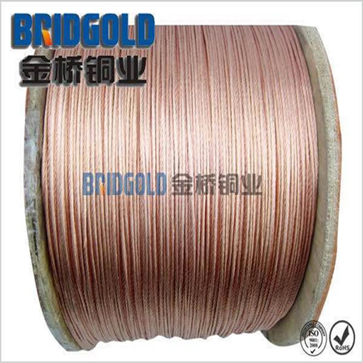 電動(dòng)汽車專用銅絞線